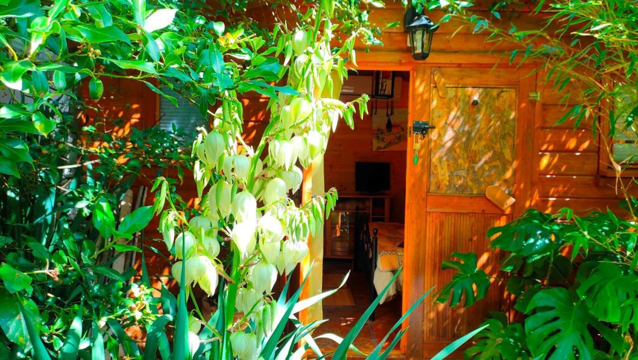 Le Portel Des Arnaud Chambres D'Hotes Durfort-et-Saint-Martin-de-Sossenac Εξωτερικό φωτογραφία